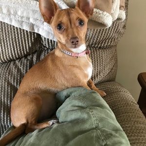 Meet your Posher, Pat